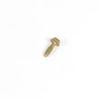Briggs & Statton Lawn & Garden Equipment Engine Screw for Briggs & Stratton 210415-0137-E1 - Part 694515
