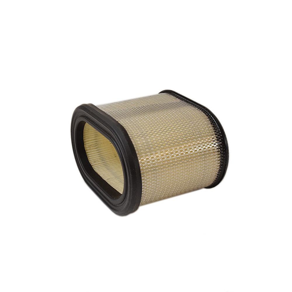 Part #695302, Briggs And Stratton Filter-A/c Cartridge