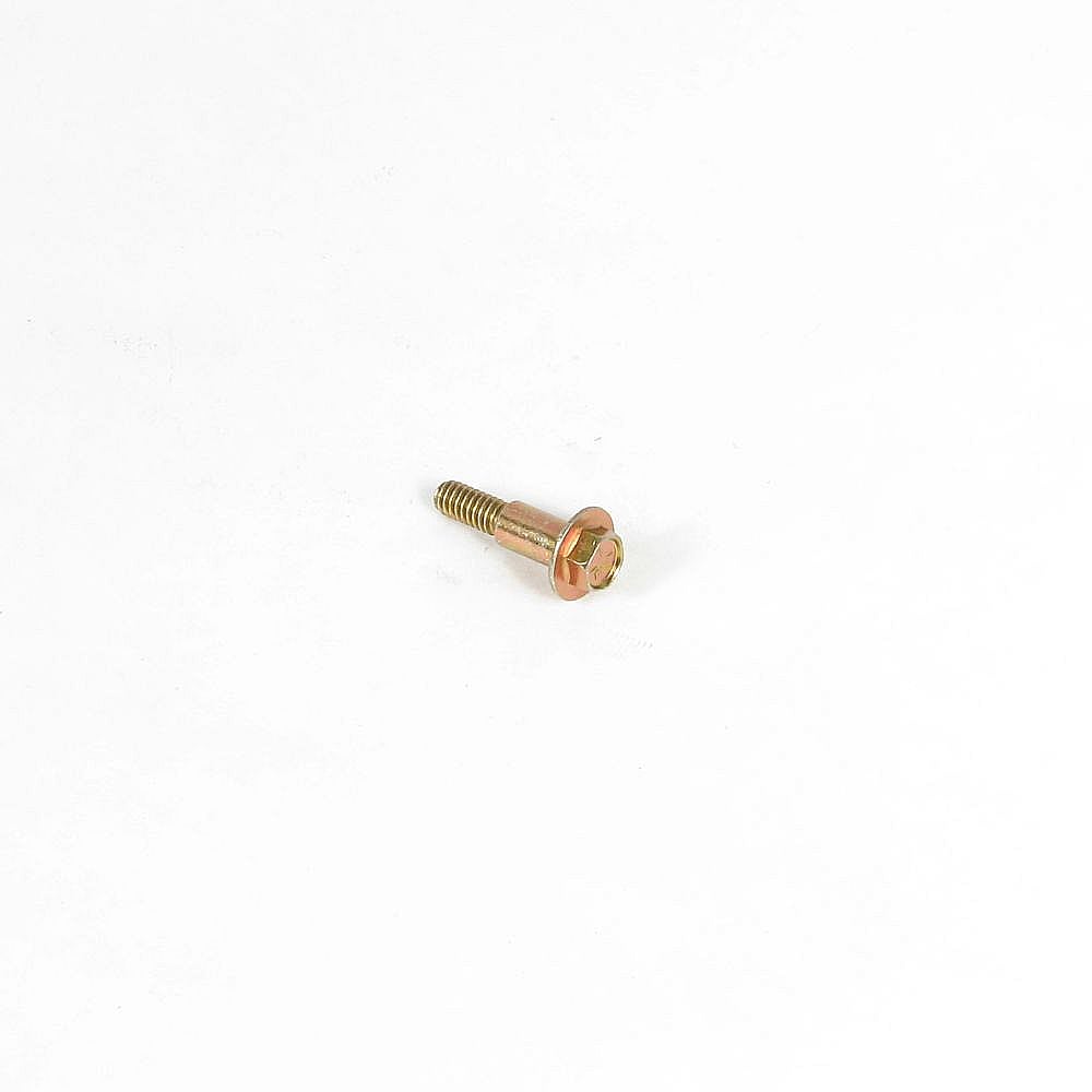 Briggs & Stratton Part #596718, Lawn & Garden Equipment Engine Screw