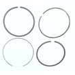 Briggs & Statton Ring for Briggs & Stratton 286H77-0165-E1 - Part 697121