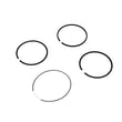 Briggs & Statton Ring for Briggs & Stratton 446977-0505-E1 - Part 697685
