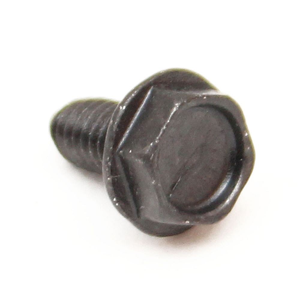 Briggs & Stratton Part #697725, Lawn & Garden Equipment Engine Screw
