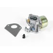 Briggs & Statton Carburetor for Briggs & Stratton 289707-1110-E1 - Part 697594