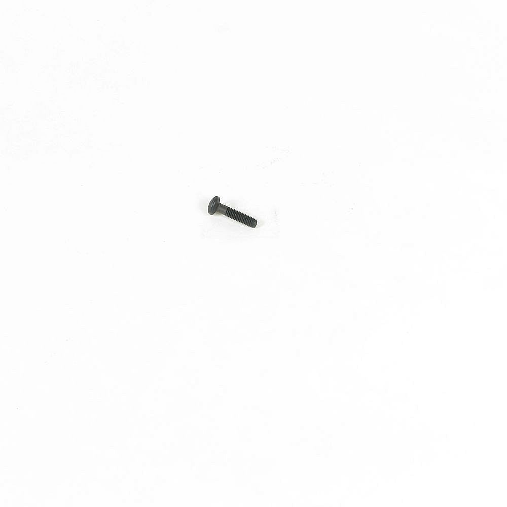 Briggs & Stratton Part #698589, Lawn & Garden Equipment Engine Screw