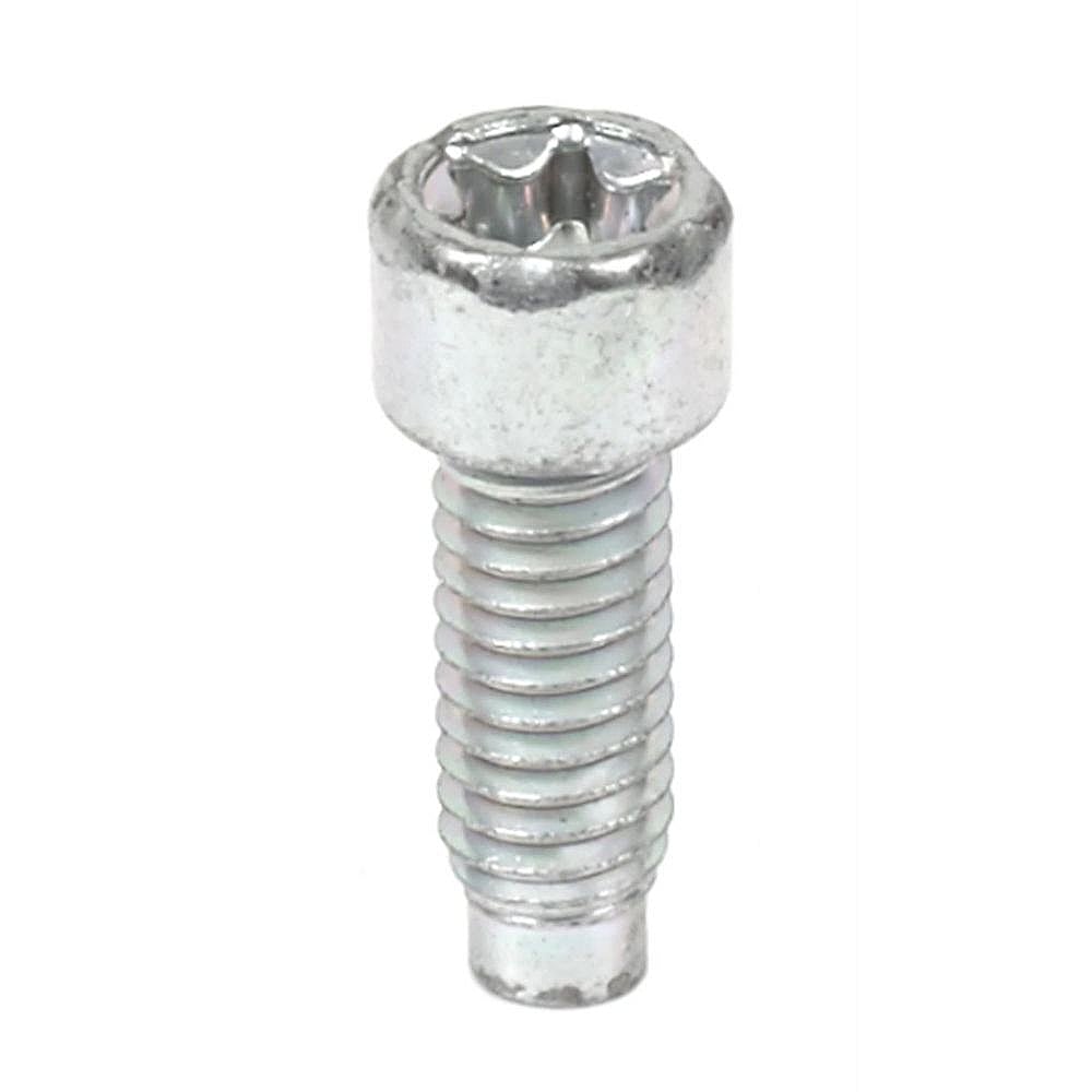 Briggs & Stratton Part #698941, Lawn & Garden Equipment Screw