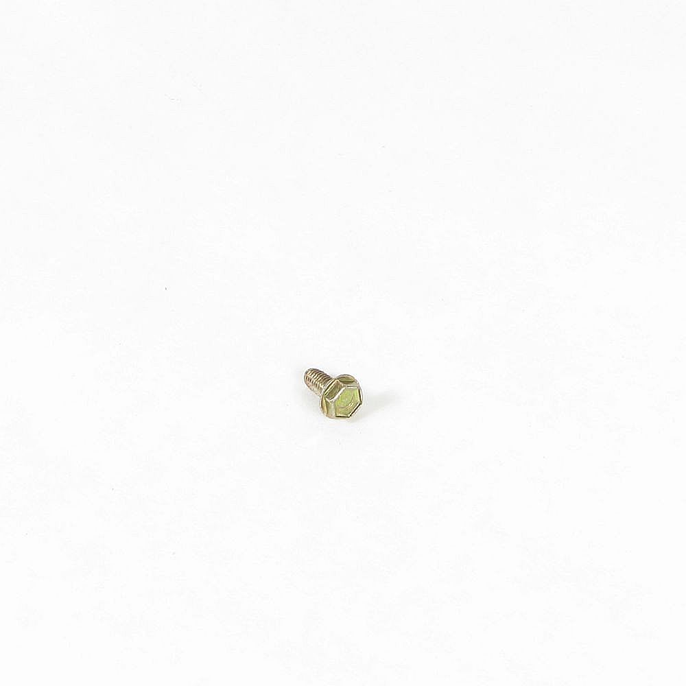 Briggs & Stratton Part #699234, Lawn & Garden Equipment Engine Screw