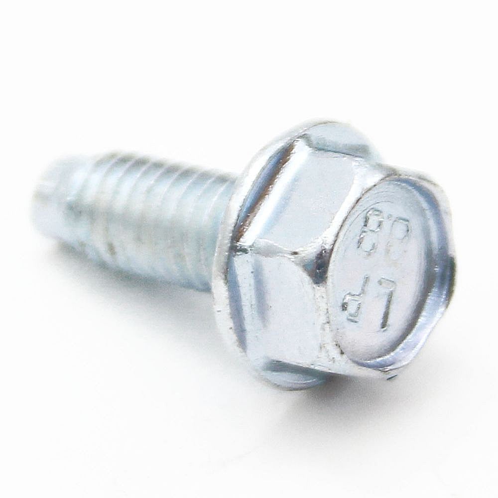 Briggs & Stratton Part #699481, Lawn & Garden Equipment Engine Screw
