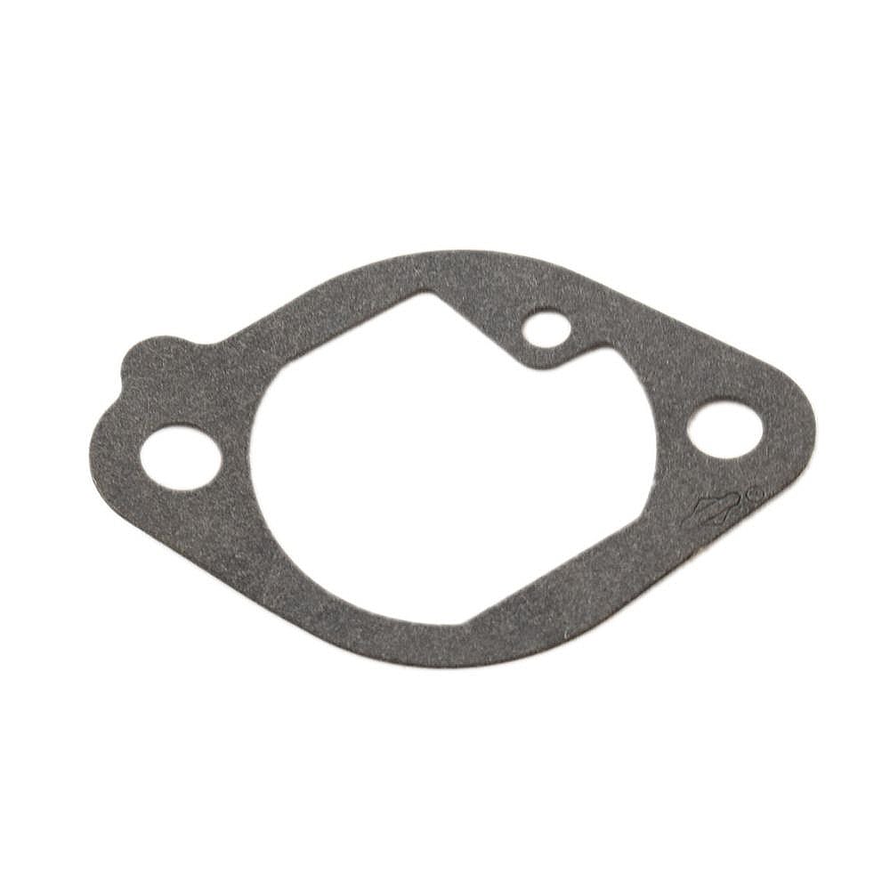 Briggs & Stratton Part #699800, Gasket