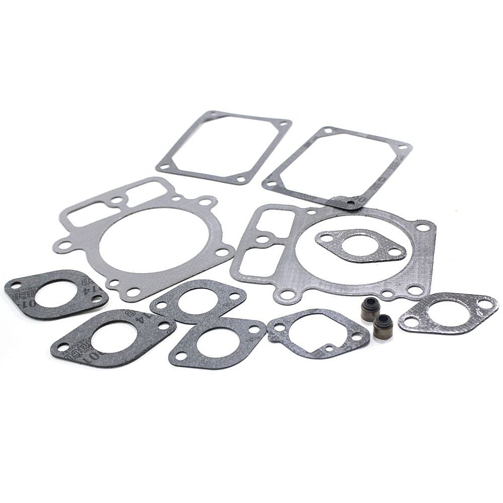 Briggs & Stratton Part #699822, Lawn & Garden Equipment Engine Cylinder Head Gasket Kit