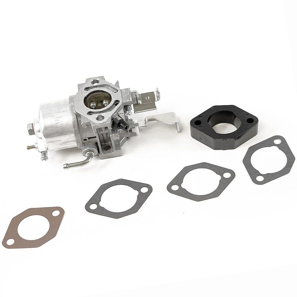 Briggs & Stratton Part #715669, Lawn & Garden Equipment Engine Carburetor