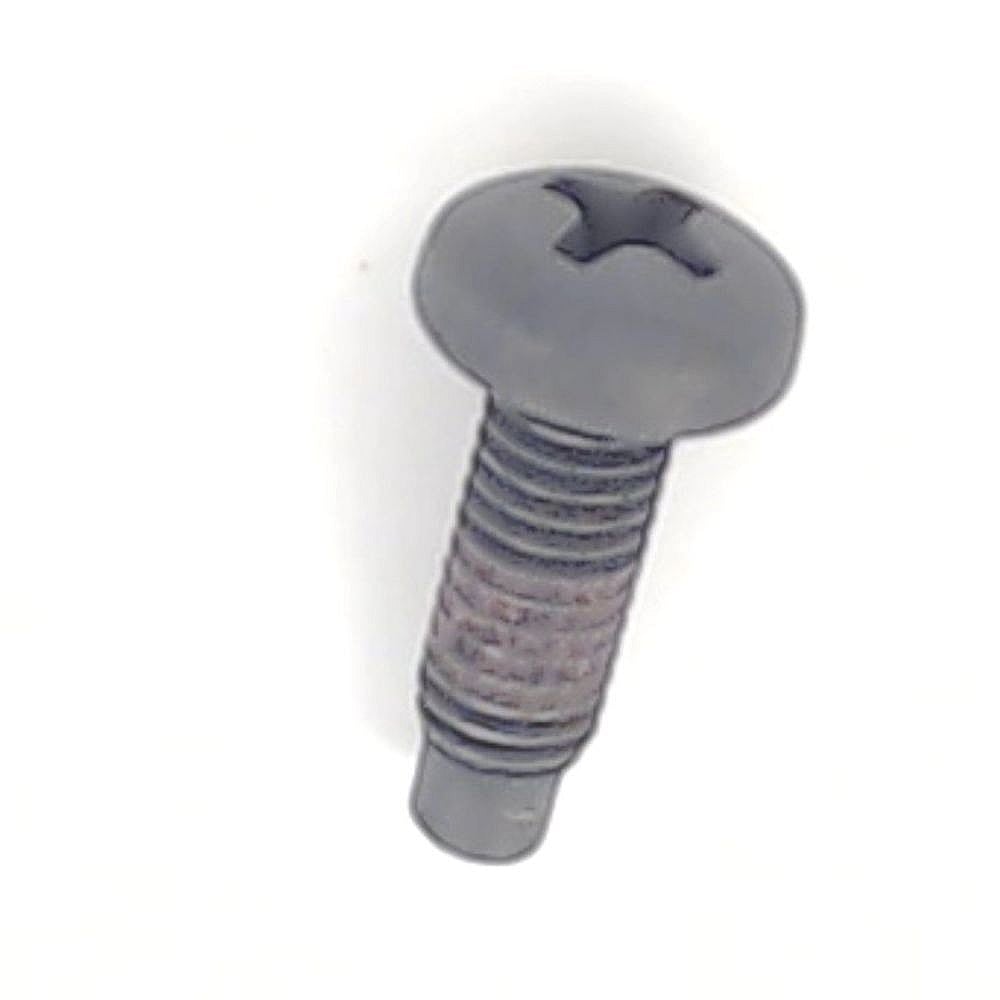 Briggs & Stratton Part #790029, Briggs & Statton Lawn & Garden Equipment Engine Screw