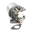 Briggs & Statton Lawn & Garden Equipment Engine Carburetor for Briggs & Stratton 120502-0255-E1 - Part 790276