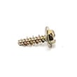 Briggs & Statton Lawn & Garden Equipment Engine Screw 790690