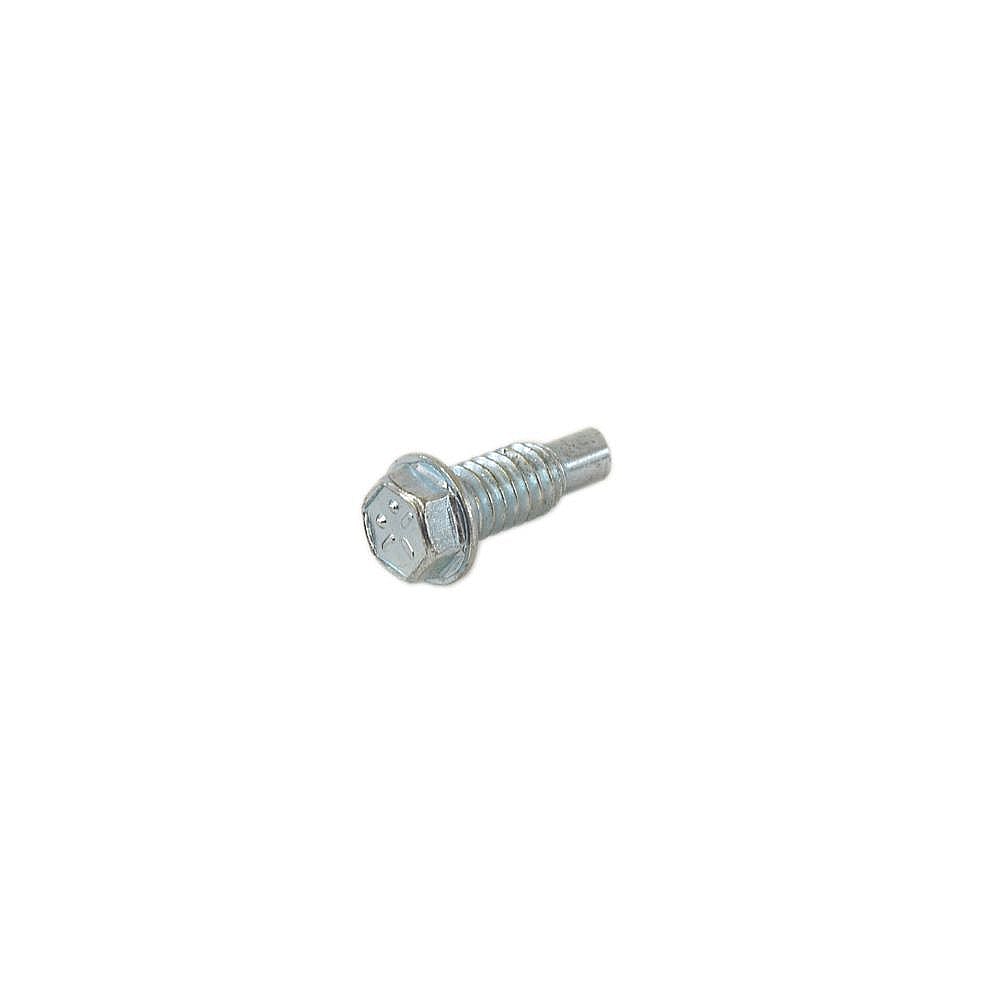 Briggs & Stratton Part #790832, Lawn & Garden Equipment Engine Screw