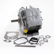 Briggs & Statton Lawn & Garden Equipment Engine Short Block for Briggs & Stratton 15A114-0342-E1 - Part 791711