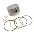 Briggs & Statton Lawn & Garden Equipment Engine Standard Piston Kit for Briggs & Stratton 150112-0532-E9 - Part 791786