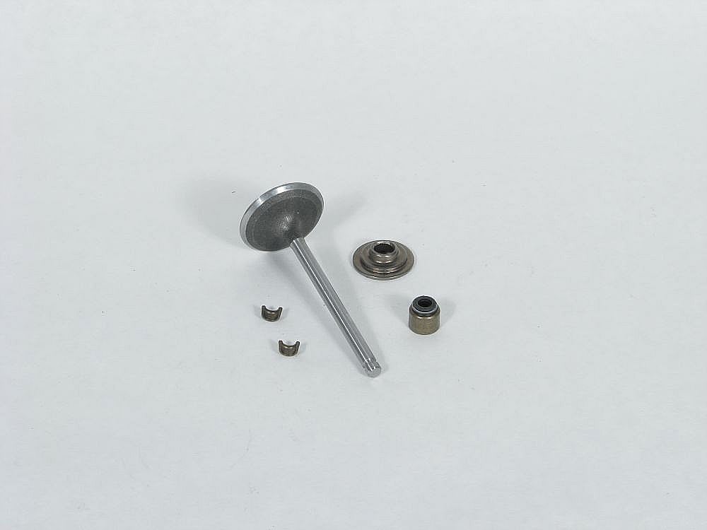 Part #791935, Lawn & Garden Equipment Engine Intake Valve (Replaces 695761)