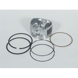 Piston Assembly BS-792072