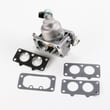 Briggs & Statton Lawn & Garden Equipment Engine Carburetor for Briggs & Stratton 44P777-0412-E1 - Part 792295