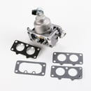 Lawn & Garden Equipment Engine Carburetor