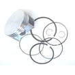 Briggs & Statton Lawn & Garden Equipment Engine Piston Kit for Briggs & Stratton 286H77-0165-E1 - Part 792307