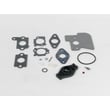 Briggs & Stratton Lawn & Garden Equipment Engine Carburetor Rebuild Kit for Briggs & Stratton 120602-0131-E1 - Part 792383