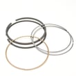 Briggs & Statton Ring for Briggs & Stratton 204412-0147-E1 - Part 793319