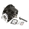 Briggs & Statton Lawn & Garden Equipment Engine Short Block for Briggs & Stratton 10M902-0489-E1 - Part 793347
