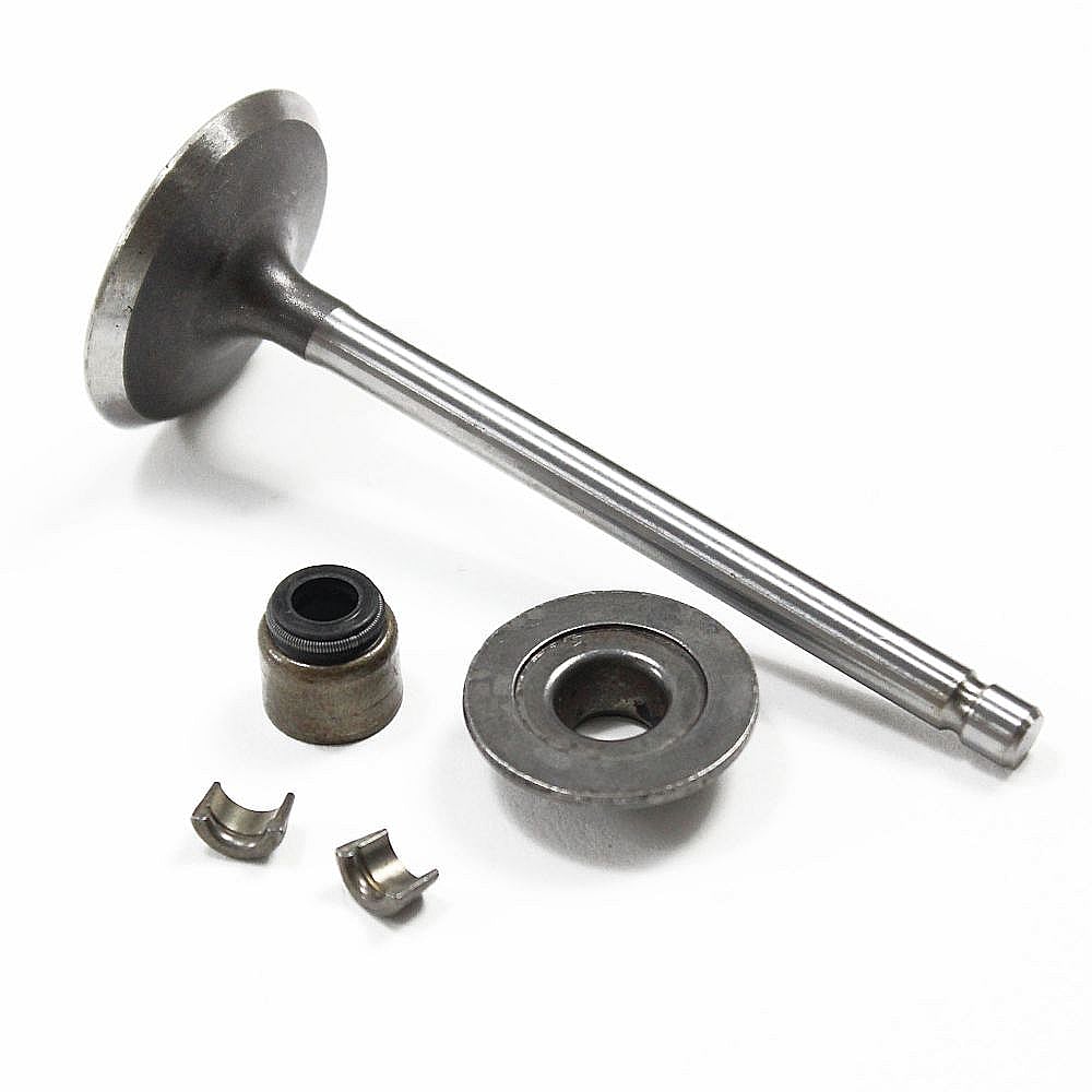 Part #793556, Lawn & Garden Equipment Engine Intake Valve
