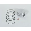 Briggs & Statton Lawn & Garden Equipment Engine Piston And Ring Kit for Briggs & Stratton 407777-0174-E1 - Part 793647