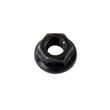 Briggs & Statton Lawn & Garden Equipment Engine Nut 794838