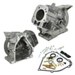 Briggs & Statton Lawn & Garden Equipment Engine Cylinder Assembly for Briggs & Stratton 204412-0147-E1 - Part 794849