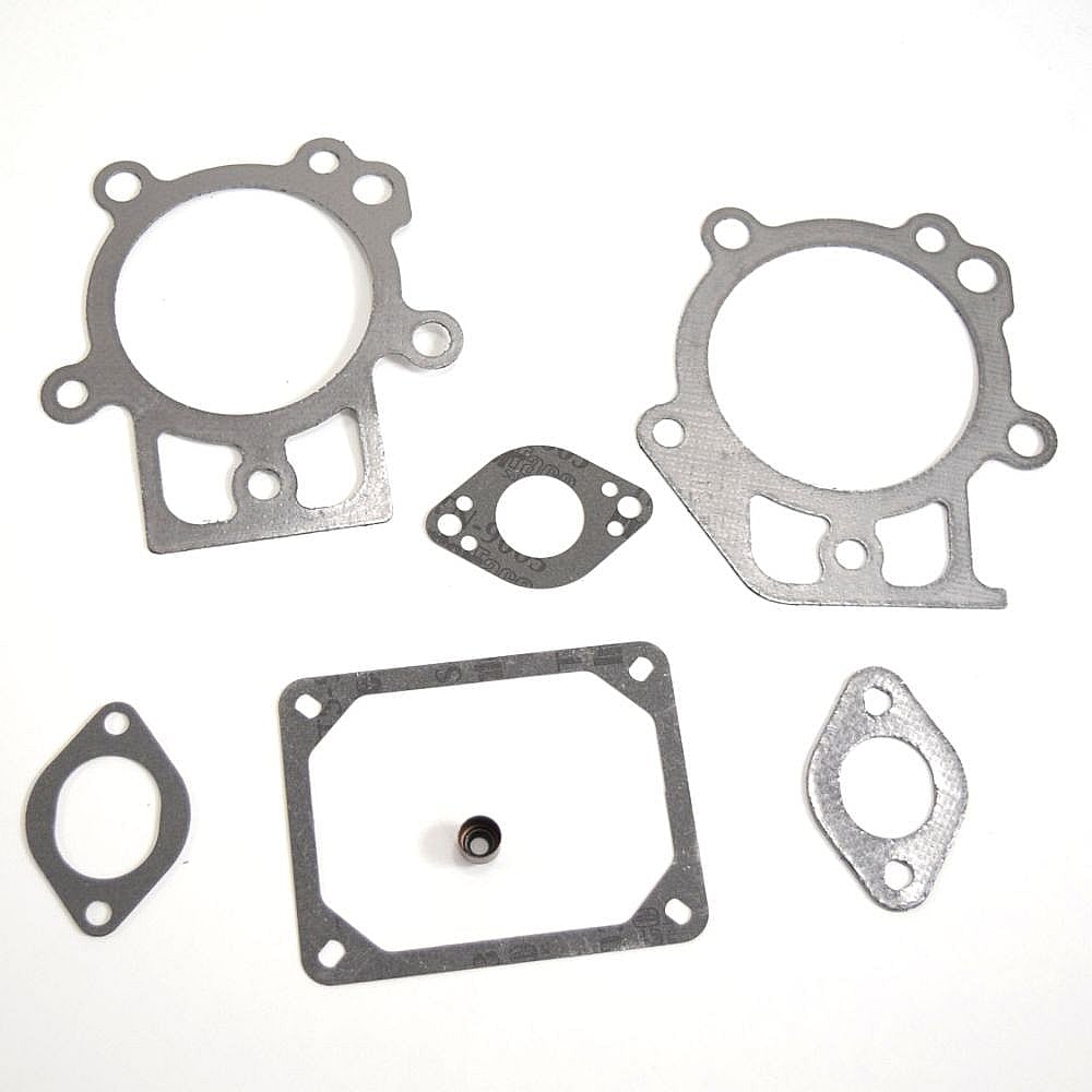 Part #795200, Briggs And Stratton Gasket Set-Valve