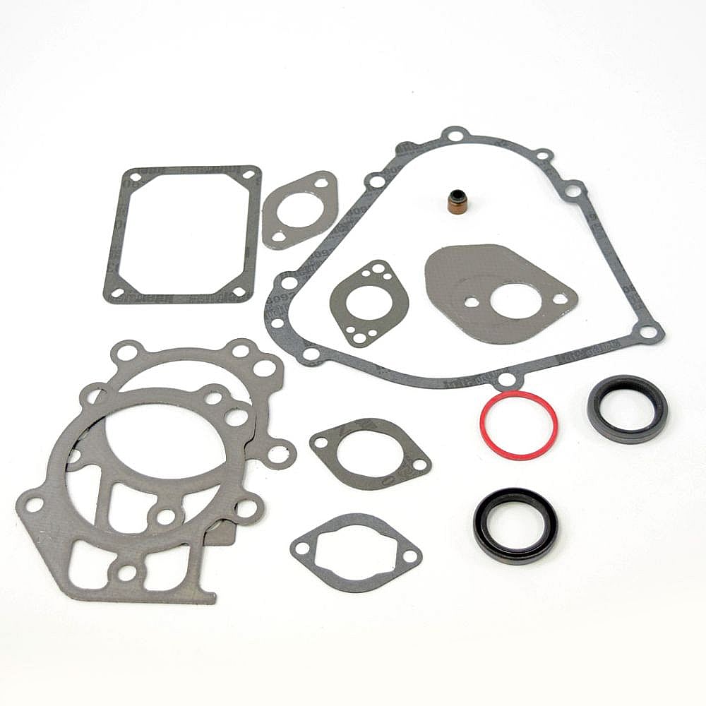 Part #795201, Briggs And Stratton Gasket Set-Engine / 10.25 x 10.00 x 0.30