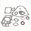 Briggs & Stratton Gasket Set-engine for Briggs & Stratton 20M314-0672-E1 - Part 795201