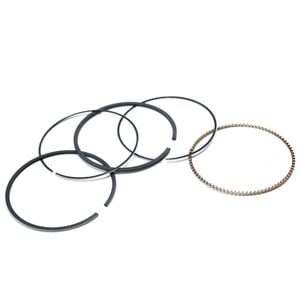 Lawn & Garden Equipment Engine Ring Set (replaces 796641) 795431