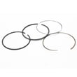 Briggs & Statton Lawn & Garden Equipment Engine Piston Ring Set for Briggs & Stratton 10H902-0121-E1 - Part 795690