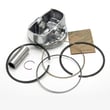 Briggs & Statton Lawn & Garden Equipment Engine Piston Kit for Briggs & Stratton 331877-1371-B1 - Part 795858