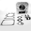 Briggs & Statton Lawn & Garden Equipment Engine Cylinder Head Assembly for Briggs & Stratton 21B807-0290-E1 - Part 796183