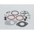 Lawn & Garden Equipment Engine Carburetor Rebuild Kit (replaces 698787, 790032, Bs-699521, Bs-796184) 796184