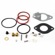 Briggs & Stratton Lawn & Garden Equipment Engine Carburetor Rebuild Kit for Briggs & Stratton 219807-0147-E1 - Part 796185