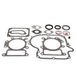 Lawn & Garden Equipment Engine Gasket Set (replaces 794150) 796187