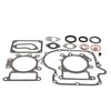 Briggs & Stratton Lawn & Garden Equipment Engine Gasket Set 796187