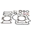 Briggs & Stratton Lawn & Garden Equipment Engine Gasket Set 796187
