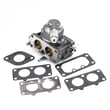 Briggs & Statton Lawn & Garden Equipment Engine Carburetor 796997