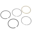 Briggs & Statton Ring for Briggs & Stratton 125K02-0025-E1 - Part 797305