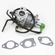 Briggs & Stratton Lawn & Garden Equipment Engine Carburetor 797758