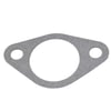 Intake Gasket 797845