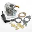 Briggs & Statton Lawn & Garden Equipment Engine Carburetor for Briggs & Stratton 150112-0532-E9 - Part 798654