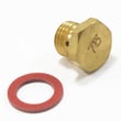 Briggs & Statton Main Jet for Briggs & Stratton 12C113-0251-E1 - Part 798930